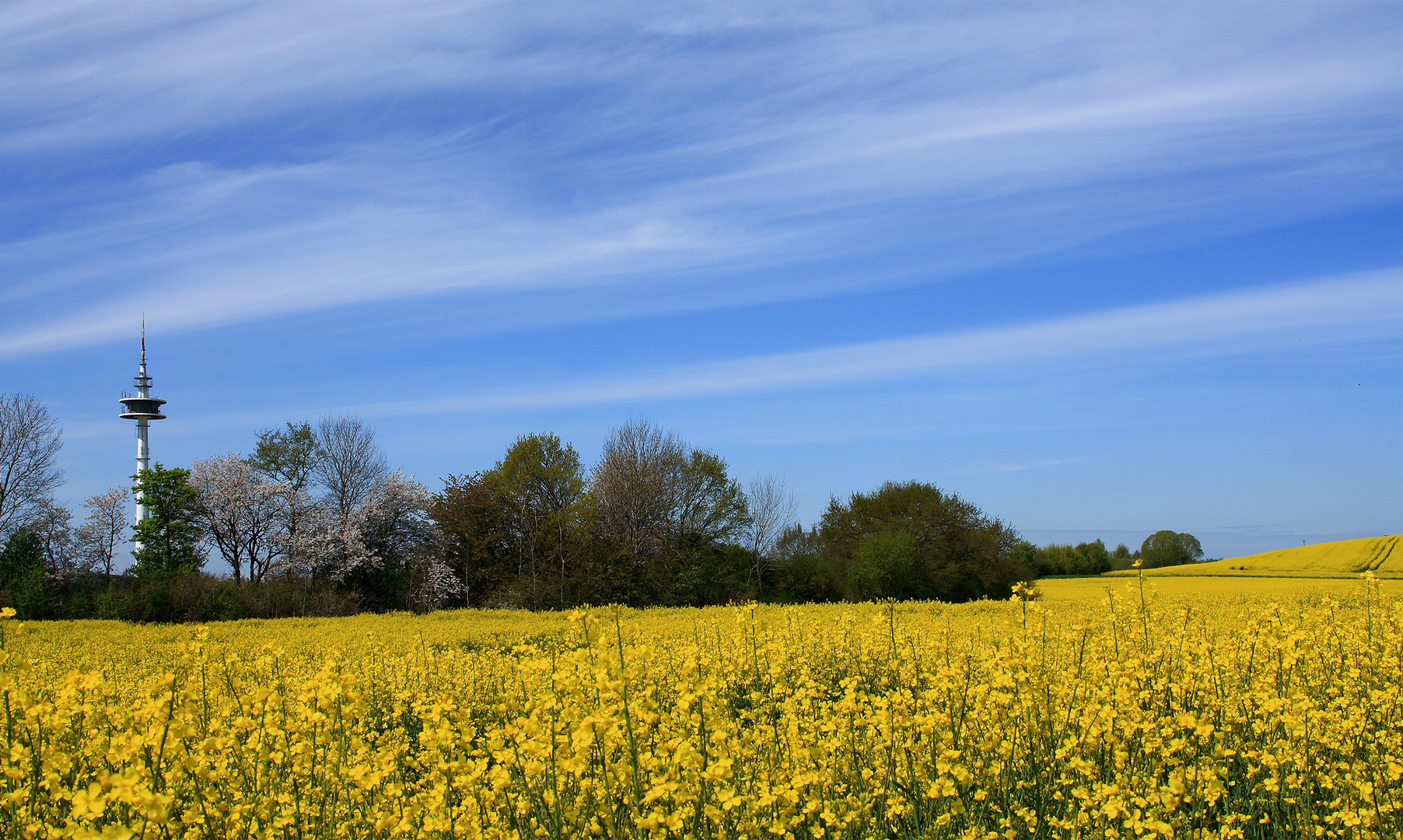 Raps "Strahlend wie die Sonne"