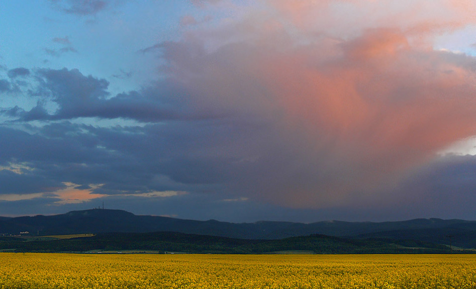 Raps - Thüringer Wald - Abendhimmel