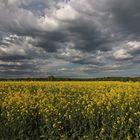 Raps und dunkles Gewölk