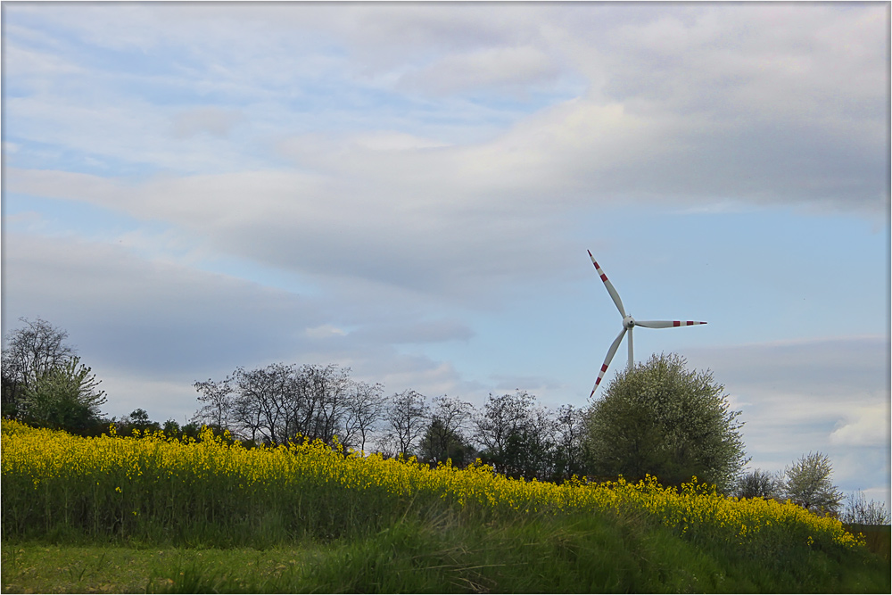 Raps und Energie