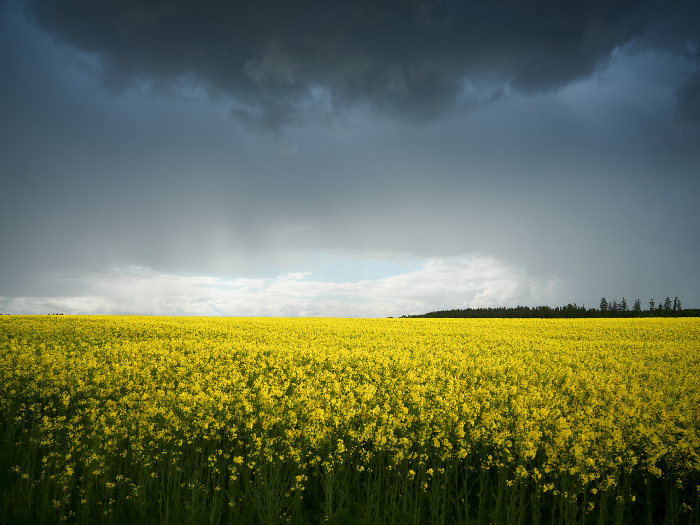 Raps und Gewitter