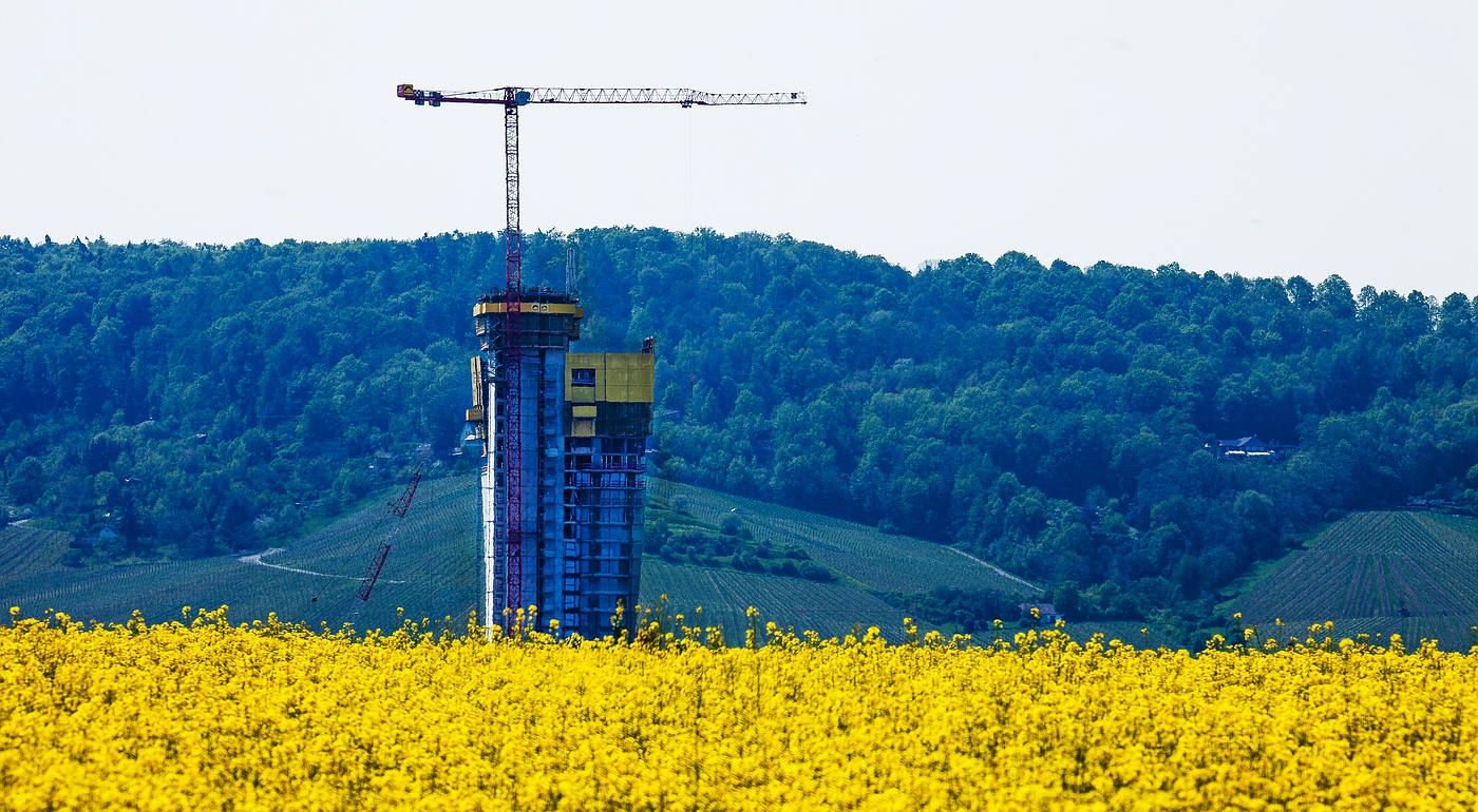 Raps und Gigant vor dem Kappelberg