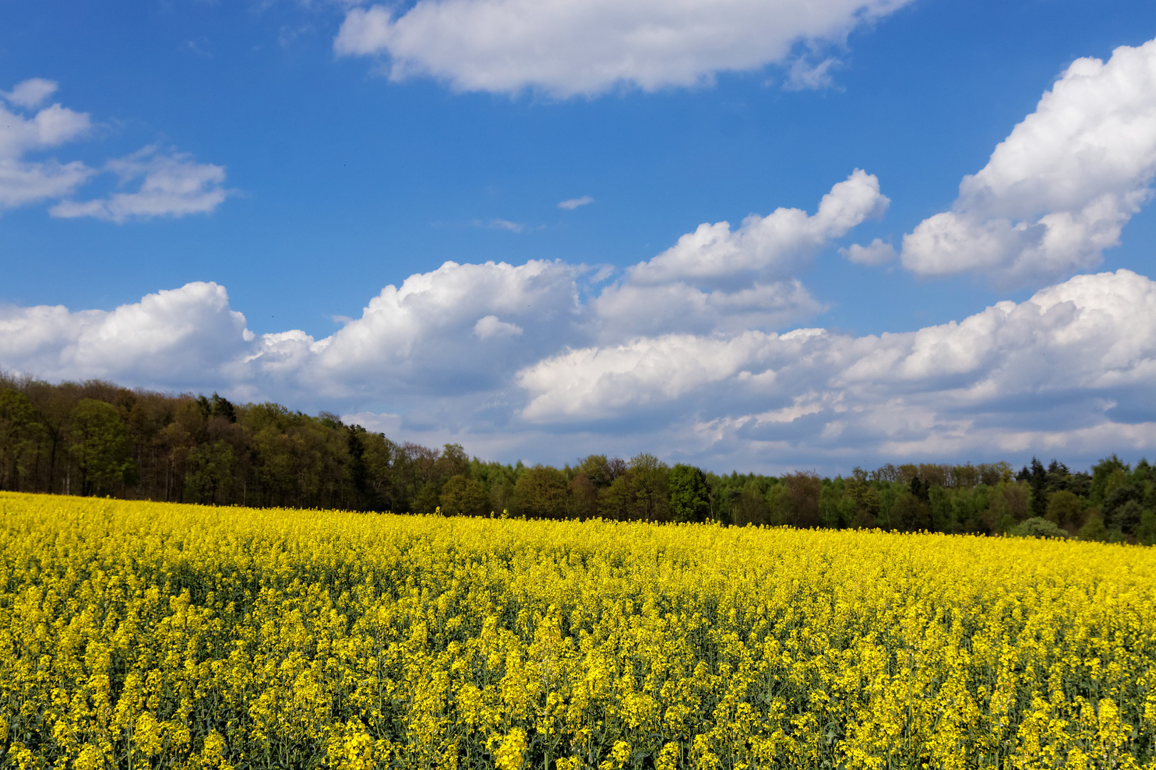 Raps und Himmel ;)