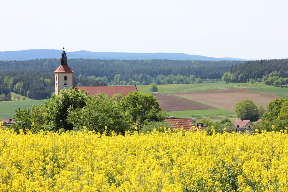 Raps und Kirche