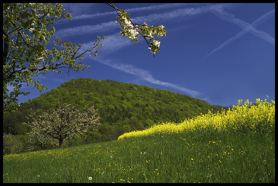 Raps und Kirsch