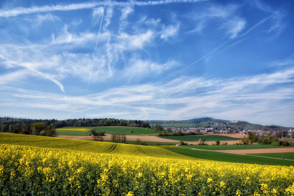 Raps und mehr