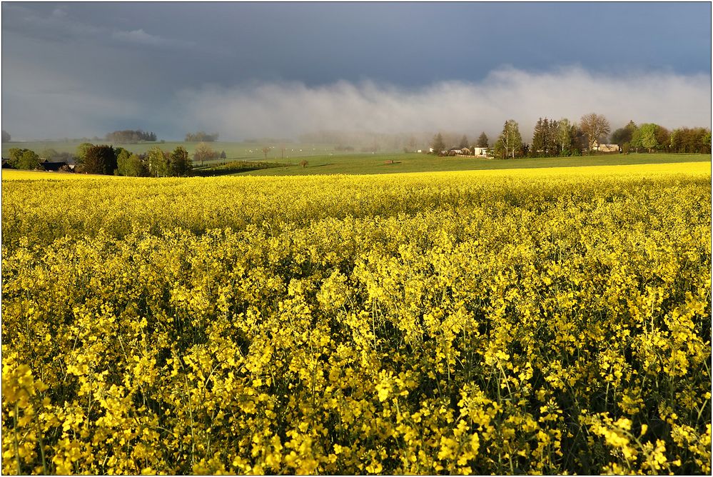 Raps und Nebel...