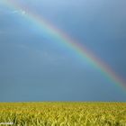 Raps und Regenbogen