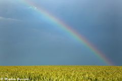 Raps und Regenbogen