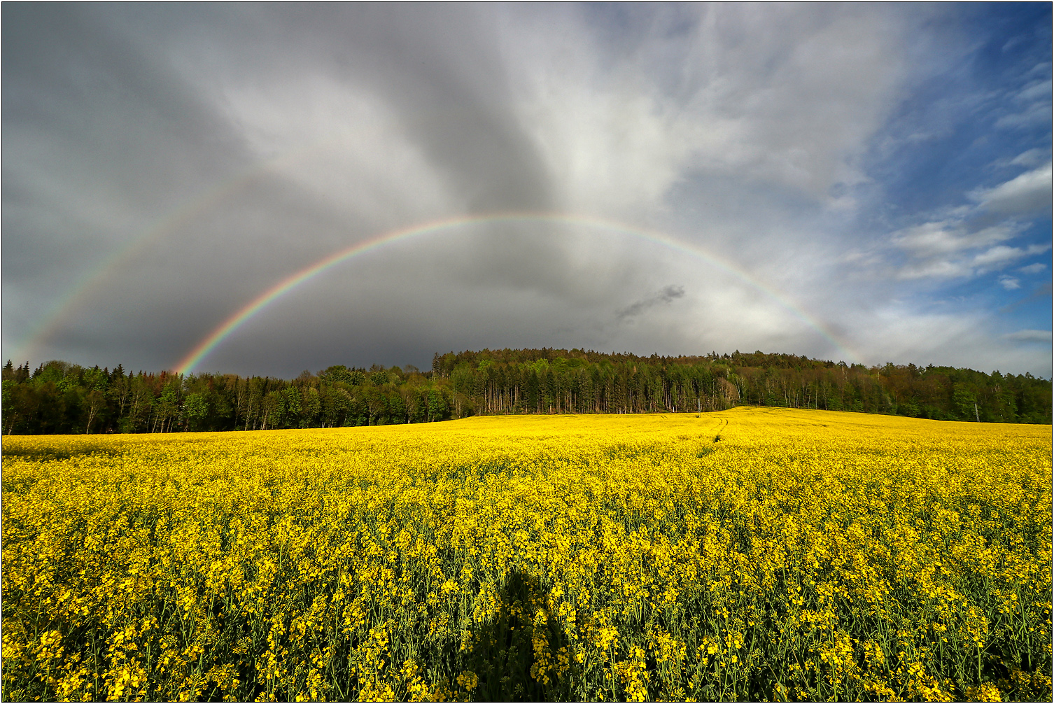 Raps und Regenbogen