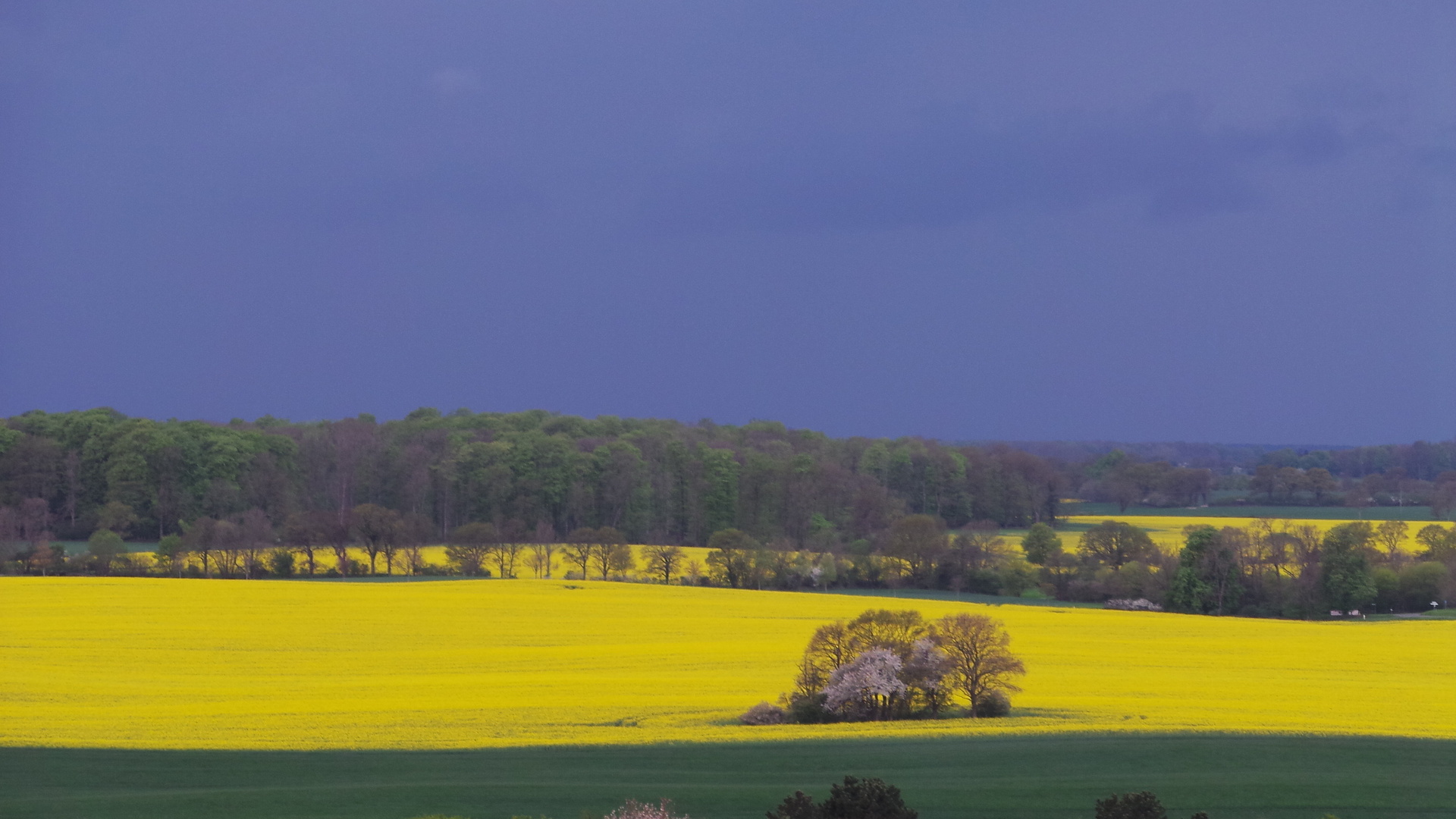 Raps und Regenfront