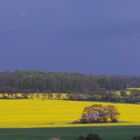 Raps und Regenfront