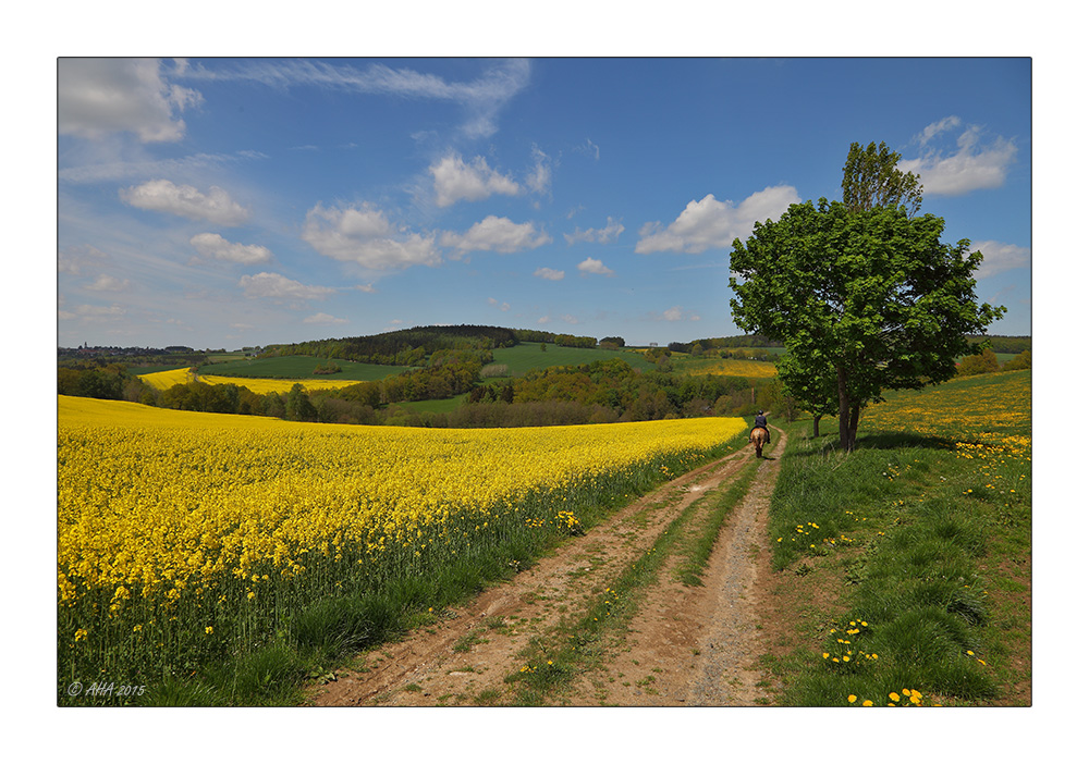 Raps und Reiter