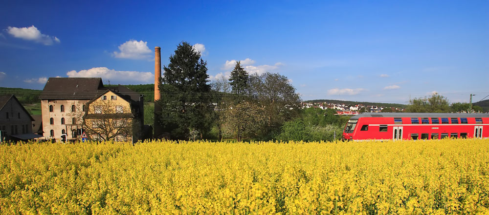 Raps und sein Bauer