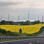 Raps und Windräder an der A 11