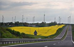 Raps und Windräder an der A 11