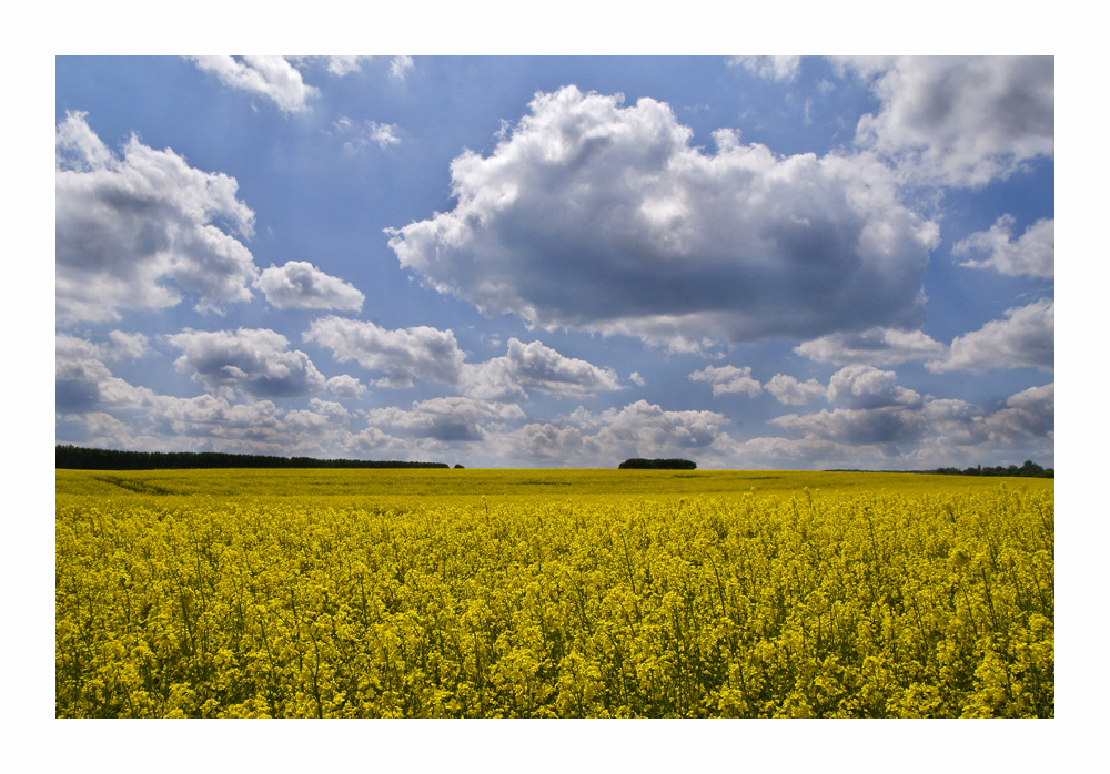 Raps und Wolken....