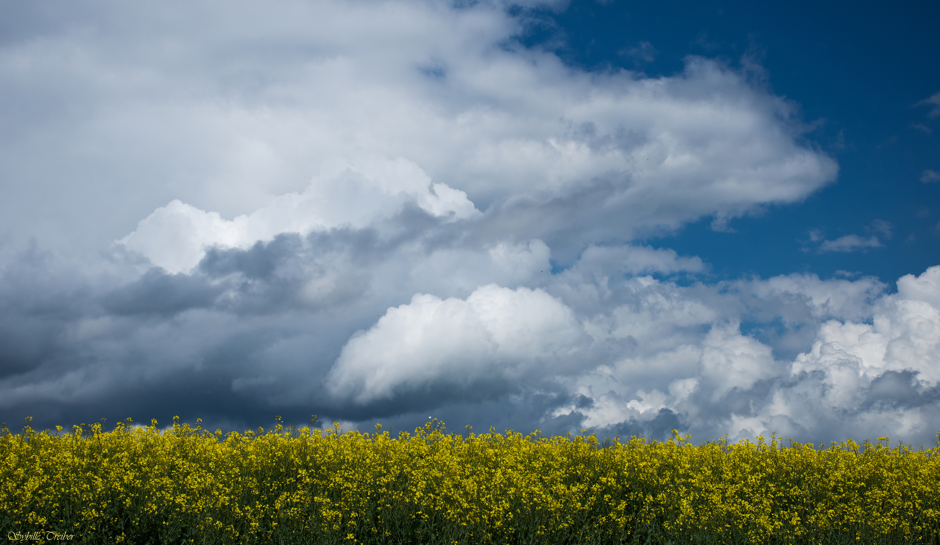 Raps und Wolken