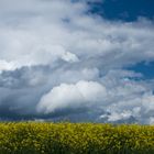 Raps und Wolken