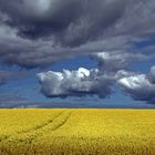 Raps und Wolken