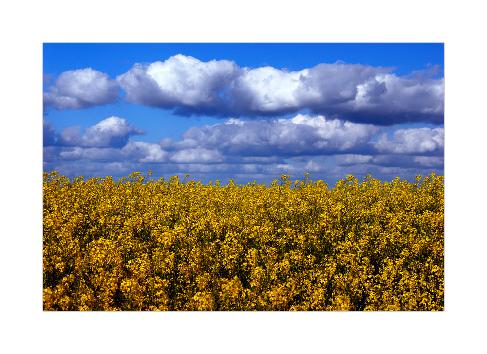 Raps und Wolken