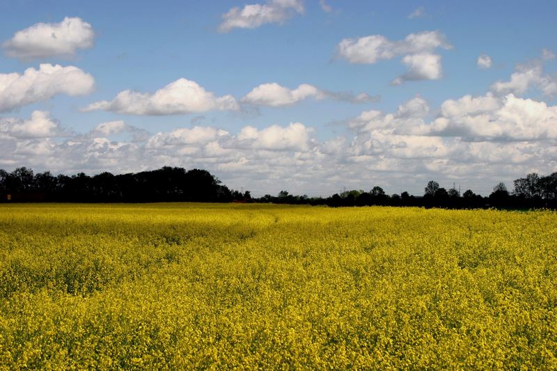 raps und wolken