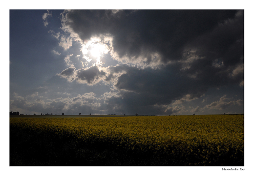 Raps unter Wolken