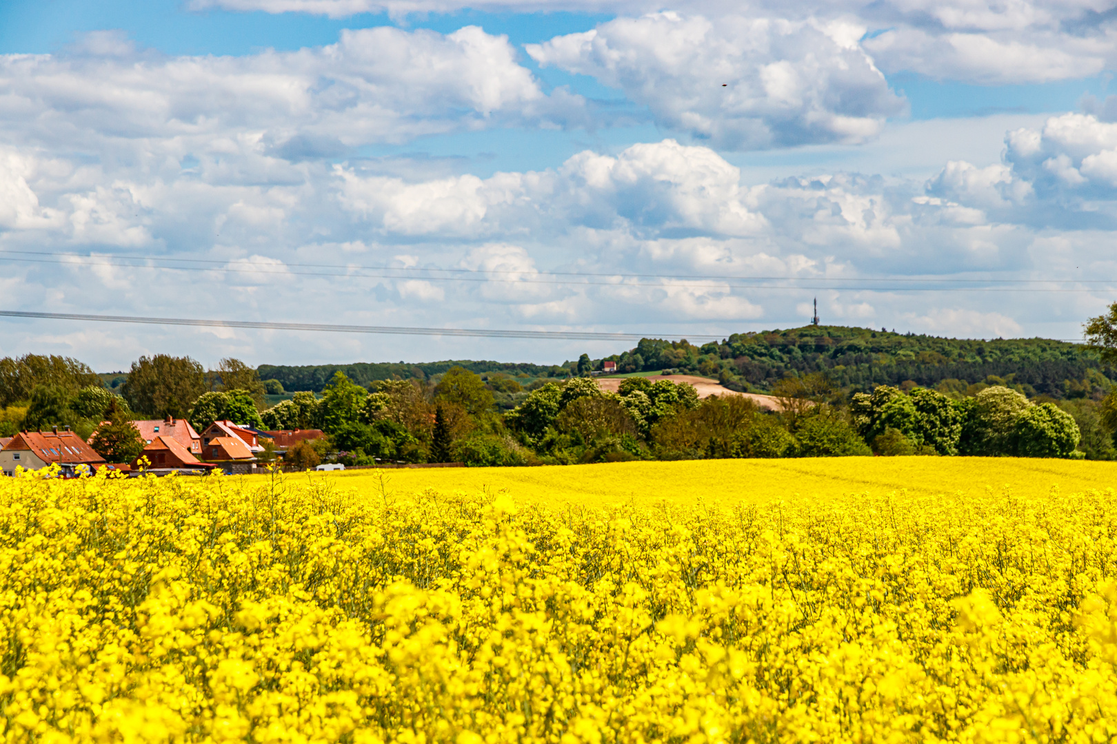 Raps vor dem höchstem Berg in Nordwest-Mecklenburg