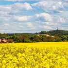 Raps vor dem höchstem Berg in Nordwest-Mecklenburg