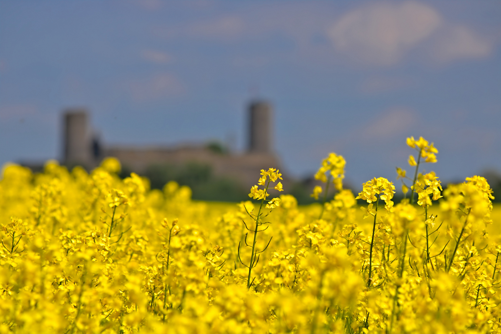 Raps vor der Münzburg