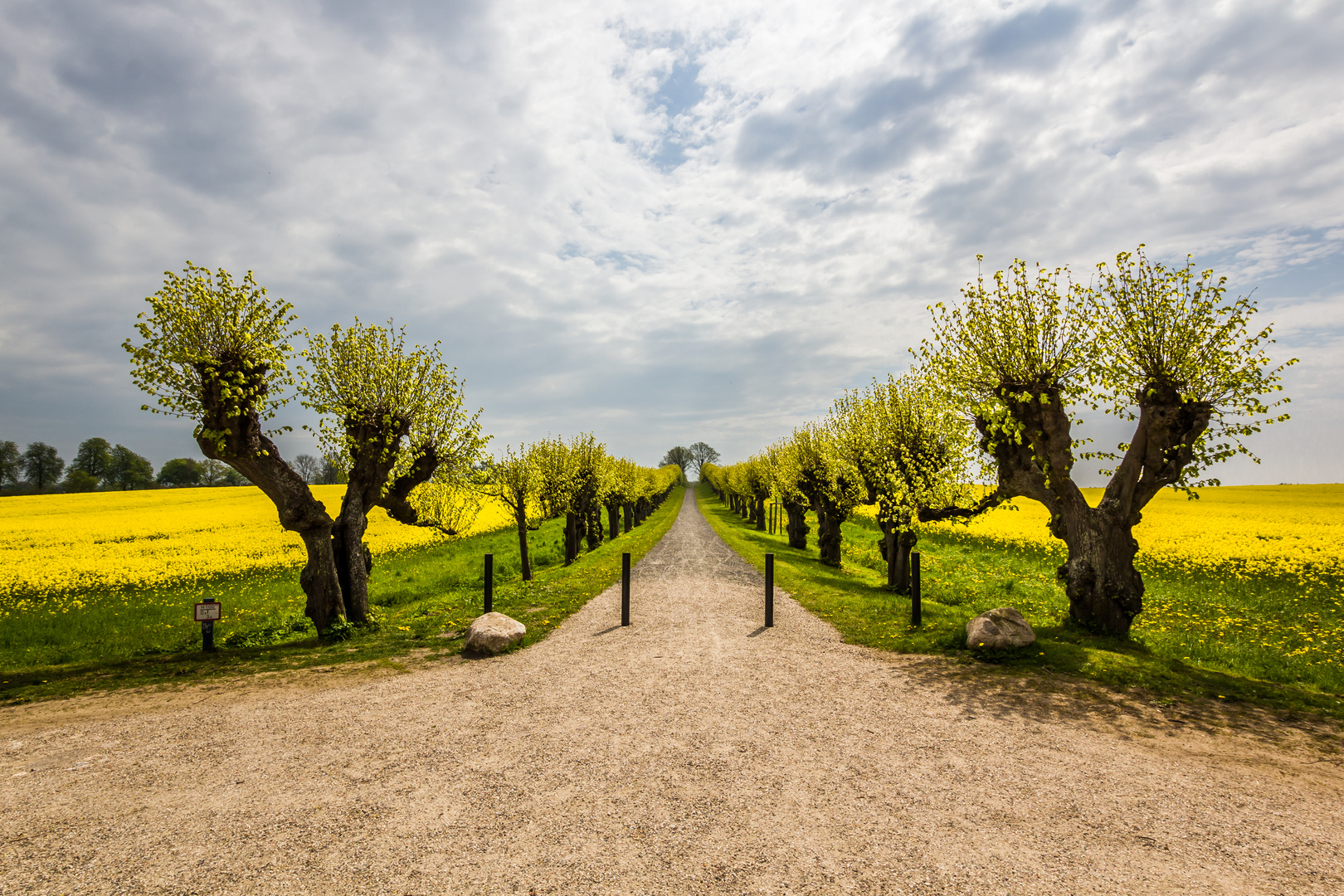 Raps vor Schloss Bothmer 4