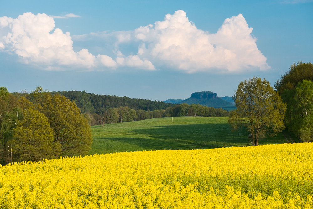 Raps vorm Lilienstein