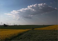 Raps ... Wind und Wolken ...