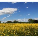 Raps & Wolken