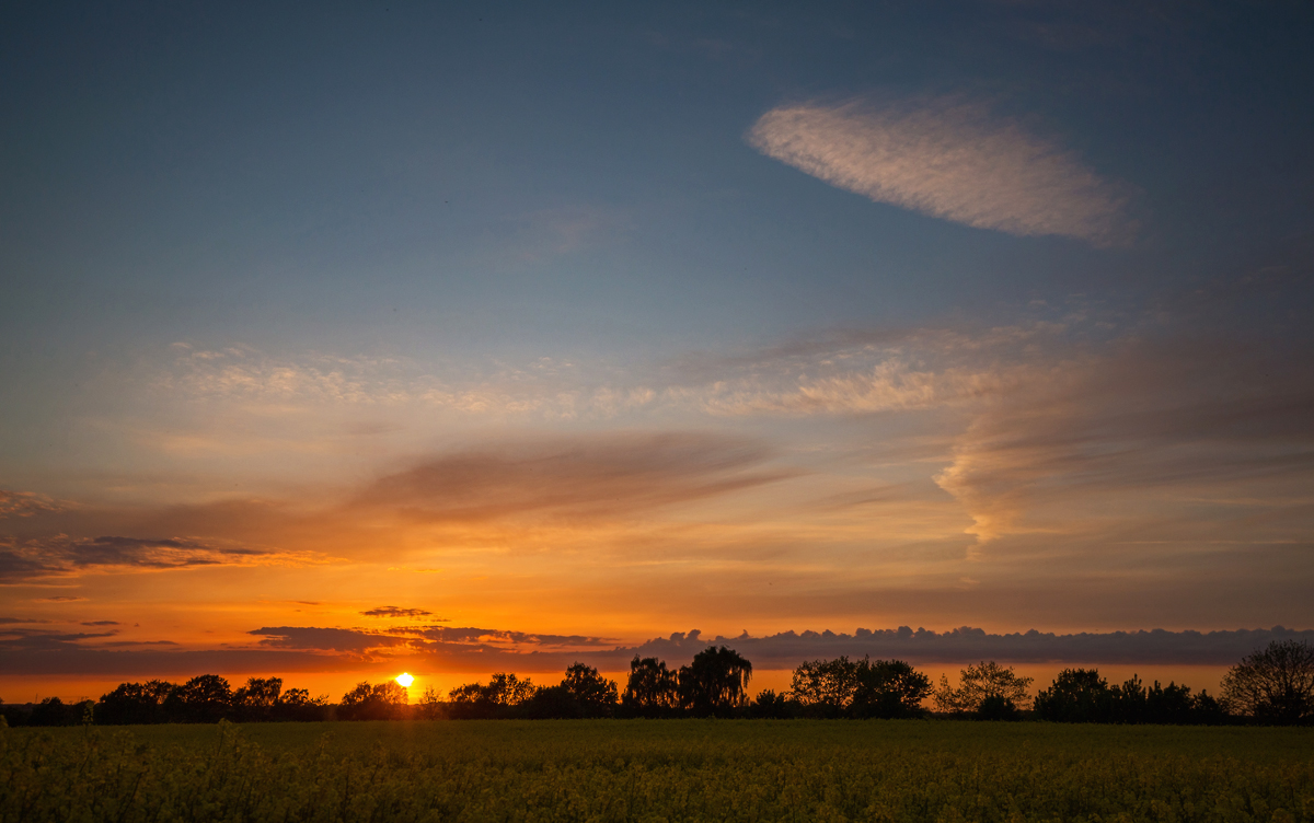 Raps, Wolken und Sonnenuntergang ....