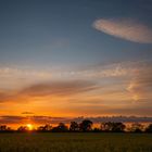 Raps, Wolken und Sonnenuntergang ....