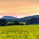 Raps zur blauen Stunde.. / Canola at twilight hour..