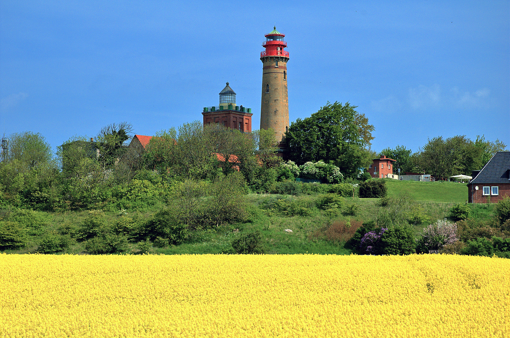 Rapsblüte auf Rügen mit Leuchttürmen