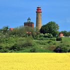 Rapsblüte auf Rügen mit Leuchttürmen