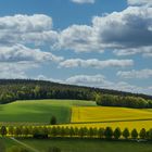 Rapsblüte bei der Siebenschläferkapelle