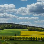 Rapsblüte bei der Siebenschläferkapelle