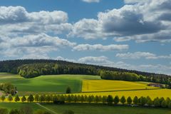 Rapsblüte bei der Siebenschläferkapelle