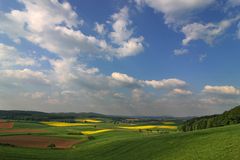 Rapsblüte im Büdinger Land