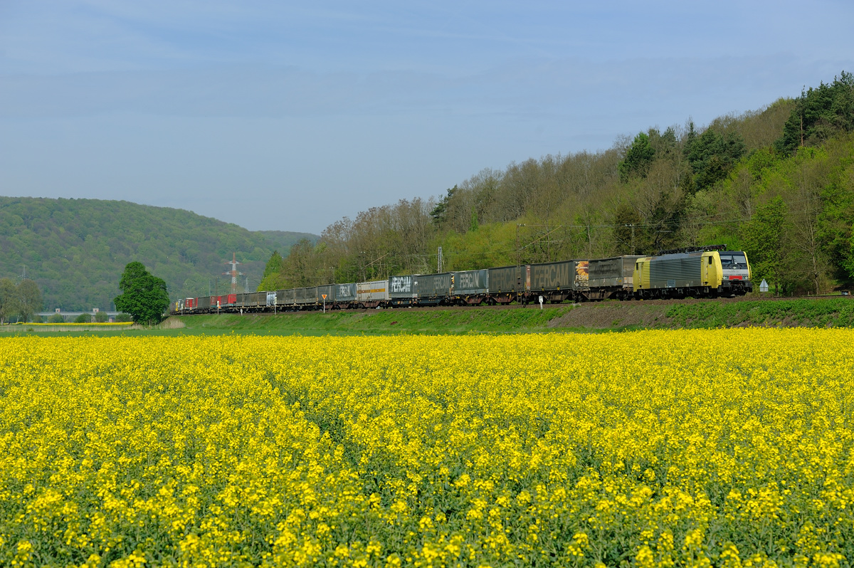 Rapsblüte im Maintal