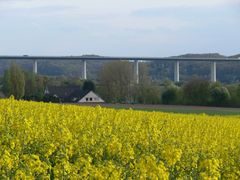 Rapsblüte im Ruhrtal (I)