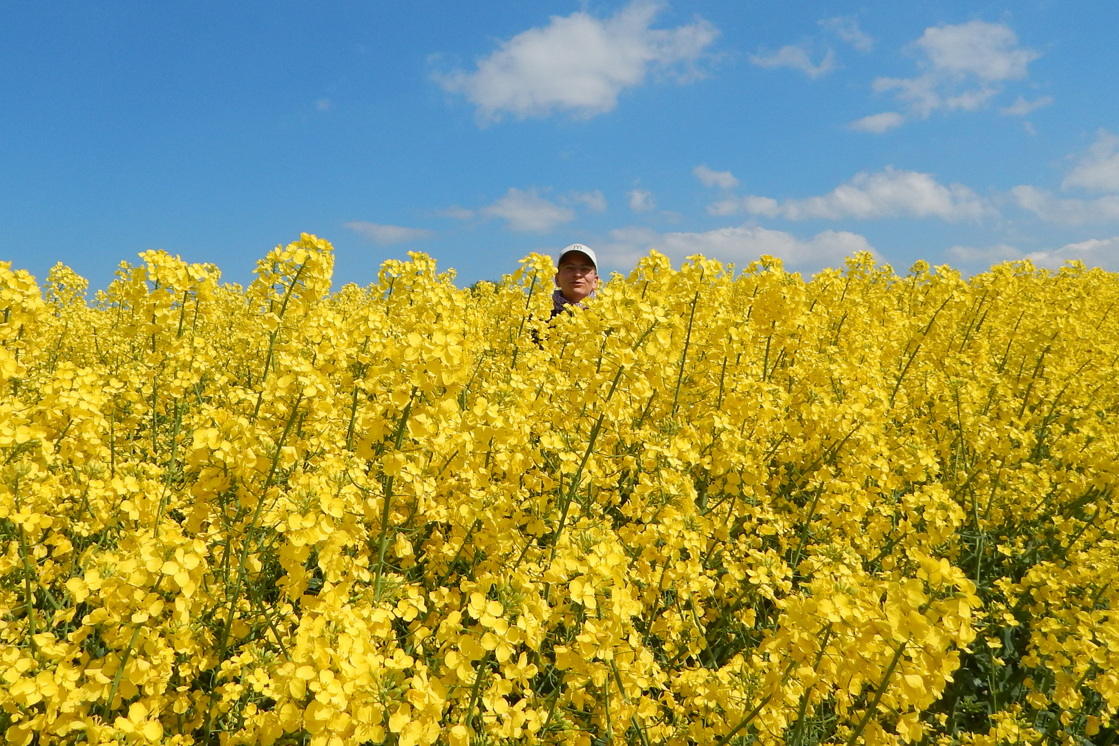 Rapsblüte .. und such den Fotografen ;-)