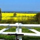 Rapsfeld an der Ostsee (Rape field on the Baltic Sea)