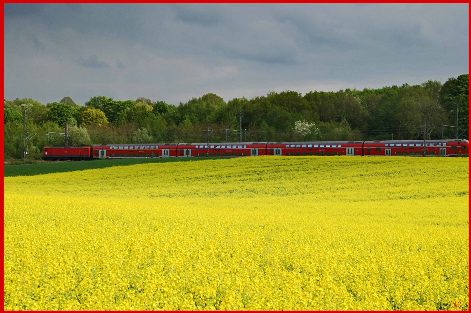 Rapsfeld an der Vohwinkeler Straße