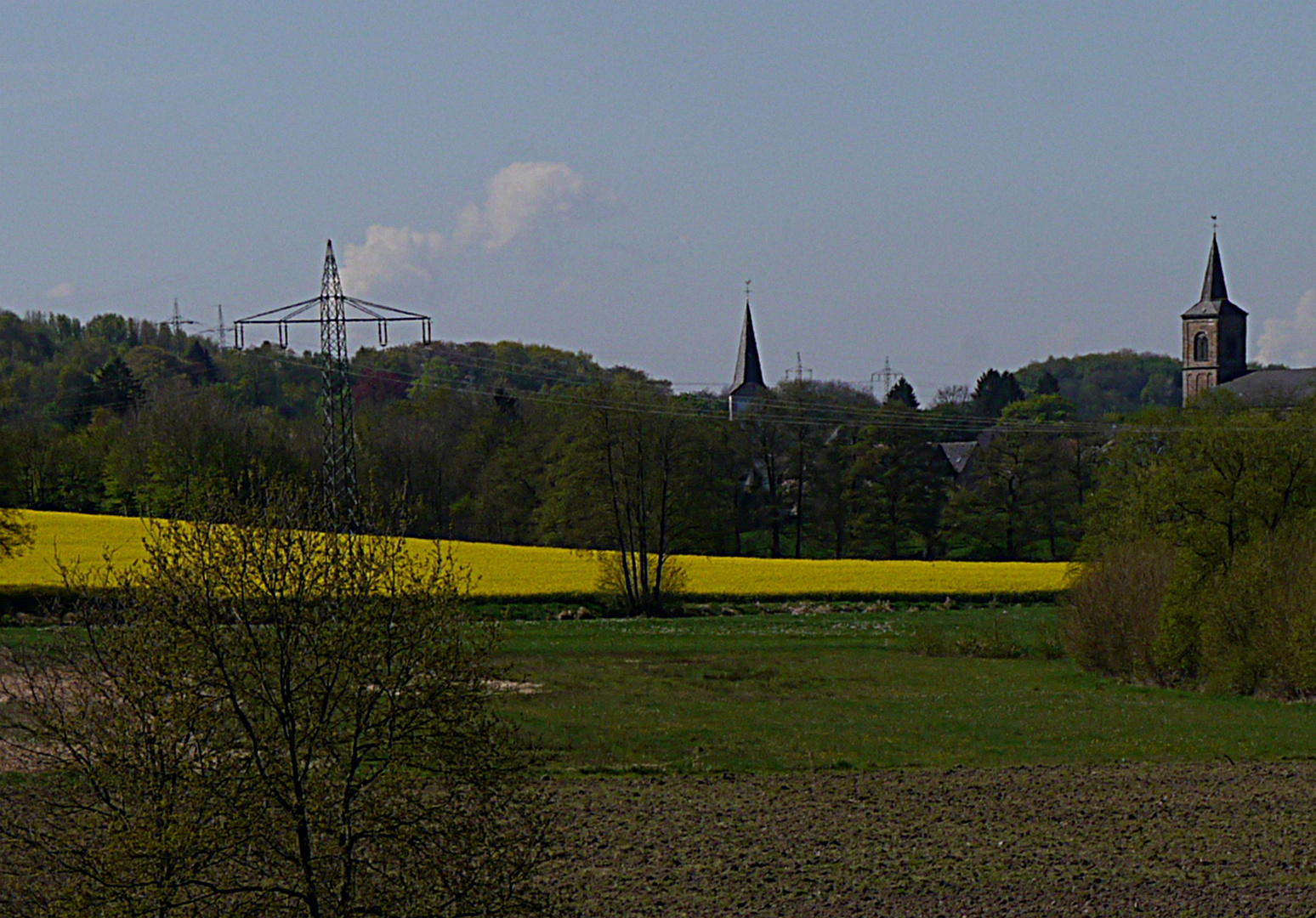 Rapsfeld Aprather Mühle mit Blick auf Düssel.