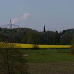 Rapsfeld Aprather Mühle mit Blick auf Düssel.